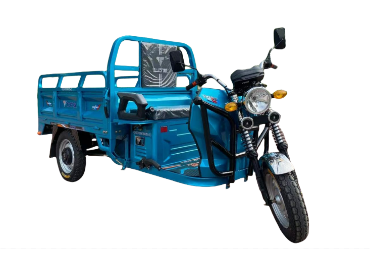 1200w Electric Cargo Tricycle