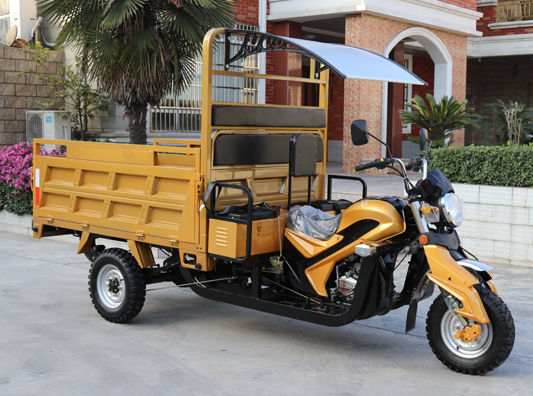 2 Ton Truck Cargo Tricycle